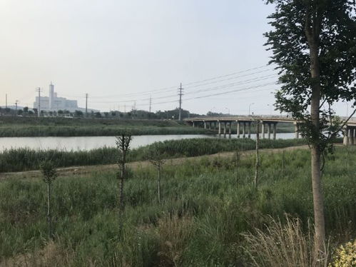 河道生態監測無人機多光譜遙感解決方案
