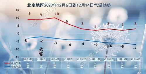 深夜風聲驚醒的北京清晨 一線生態監測者的抗風記錄